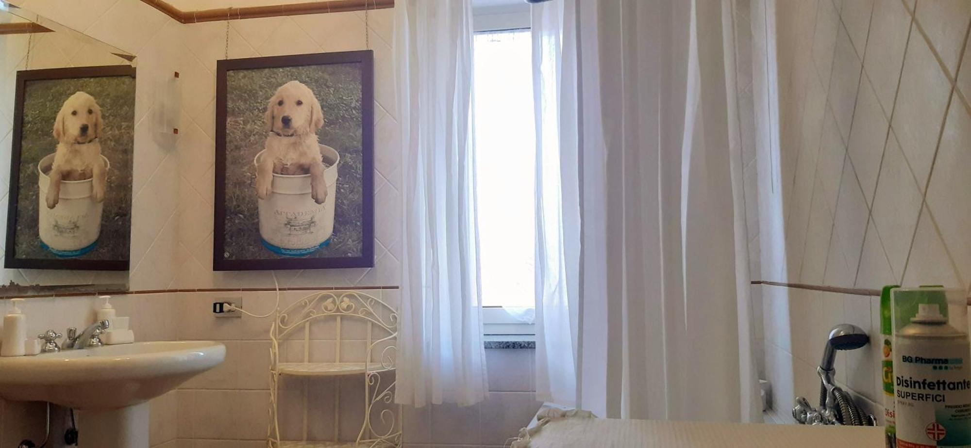 Fabiola B & B Марино Экстерьер фото